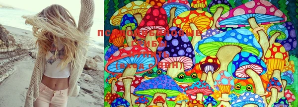 MDMA Волосово