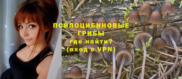 кристаллы Вяземский