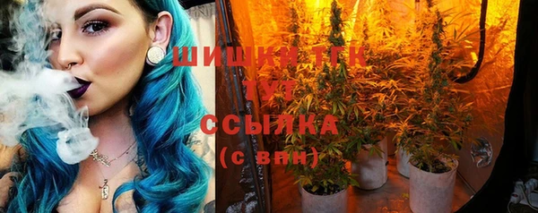 трава Вязьма